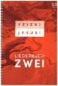 Feiert Jesu Band 2 Liederbuch (Spiralbindung)