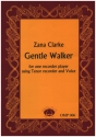 Gentle Walker for Ganassi recorder in g major
