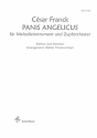 Panis Angelicus fr Melodieinstrument und Zupforchester Partiturund Stimmen