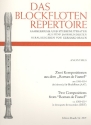2 Kompositionen aus dem 'Roman de Fauvel' für 3 Blockflöten (AAT)