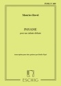 Pavane pour une infante defunte pour 2 guitares partition