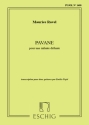 Pavane pour une infante defunte pour 2 guitares partition