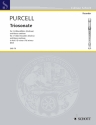 Triosonate d-Moll fr 2 Alt-Blockflten (Violinen, Flten) und Basso continuo, Violoncel