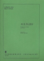 Allegro für Viola (Violine) und Gitarre 2 Spielpartituren