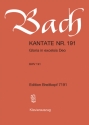 Gloria in excelsis Deo Kantate Nr.191 BWV191 Klavierauszug (lat)