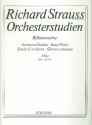 Orchesterstudien aus Bhnenwerken Band 1 fr Flte