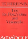 Kindertrio fr Flte, Violine und Violoncello Partitur und Stimmen