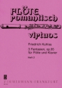 Fantasien op.95,2-3 fr Flte und Klavier