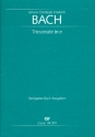 Triosonate e-Moll fr Flte, Viola und Bc Partitur und Stimmen