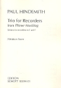 Trio for 3 recorders (SSA)
