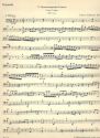 Brandenburgisches Konzert G-Dur Nr.4 BWV1049 Violoncello