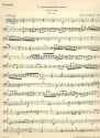 Brandenburgisches Konzert G-Dur Nr.4 BWV1049 Violoncello