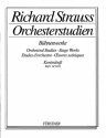 Orchesterstudien aus seinen Bhnenwerken Band 1 fr Kontrabass GUNTRAM, FEUERSNOT, SALOME