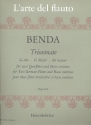 Triosonate G-Dur für 2 Flöten und Bc