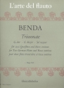 Triosonate G-Dur  fr 2 Flten und Bc