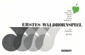 Erstes Waldhornspiel fr 1-3 Waldhrner Spielpartitur