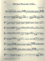 Sinfonia pastorale G-Dur für corno pastoriccio und Streicher Viola