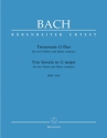 Triosonate G-Dur BWV1039 für 2 Flöten und Bc