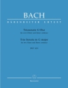 Triosonate G-Dur BWV1039 fr 2 Flten und Bc