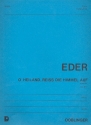 O Heiland rei die Himmel auf op.47,1 Partita fr Orgel