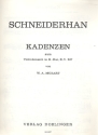 Kadenzen zum Violinkonzert B-Dur KV207 Schneiderhan, Wolfgang, bearb.