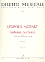 Sinfonia burlesca fr 2 Violen, 2 Violoncelli und Bass Partitur