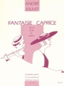 Fantaisie-Caprice pour flte et piano
