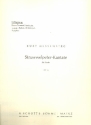 Der Struwwelpeter op. 49 fr Kinder- oder Jugendchor, 2 Flten, Streichorchester und Klavier, S Einzelstimme - Schlagzeug/Stabspiele