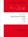 Unter Donner und Blitz op.324 für Orchester Partitur