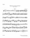 Missa brevis Sti Joannis de Deo Hob.XXII:7 fr Soli, Chor und Orchester,  Violine 1