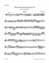 Missa brevis Sti Joannis de Deo Hob.XXII:7 fr Soli, Chor und Orchester,  Violine 2