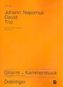 Trio fr Flte, Viola und Gitarre Partitur und Stimmen