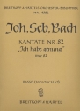 Ich habe genug Kantate Nr.82 BWV82 Violoncello