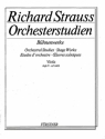 Orchesterstudien aus seinen Bhnenwerken Band 4 fr Viola