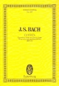 Du wahrer Gott und Davids Sohn - Kantate Nr.23 BWV23 fr Soli, Chor und Orchester Studienpartitur (dt/en)