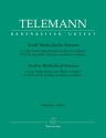 12 methodische Sonaten  fr Flte und Bc Stimmenband
