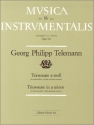 Triosonate a-Moll fr Altblockflte, Violine und Bc