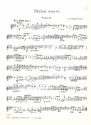 Stabat mater fr Sopran, Alt und Streicher und Bc Violine 2