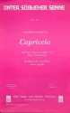 Capriccio nach dem Capriccio italien fr Mnnerchor und Klavier Klavierpartitur