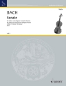 Sonate h-Moll Wq 76 fr Violine und konzertantes Cembalo