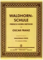 Waldhornschule  