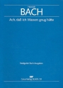 Ach da ich Wassers gnug htte fr Alt, Violine, 4 Gamben und Bc Partitur
