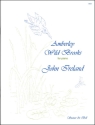AMBERLEY WILD BROOKS FOR PIANO 2 PIECES NO.2