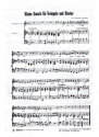 Kleine Sonate fr Trompete und Klavier