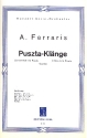 Puszta-Klnge: Czardas fr Salonorchester