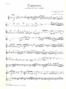 Concerto d-Moll fr Flte und Streichorchester Violine 1