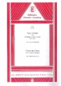 Ave verum KV618   und  Caro mio ben fr Salonorchester Stimmen