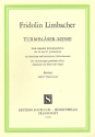Turmblser-Messe fr gem Chor, Gemeinde und Blser (Orgel) Partitur (dt/la)