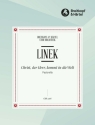 Christ der Herr kommt in die Welt fr gem Chor und Orchester Chorpartitur