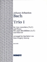 Trio no.1 for 2 recorders (at) and piano (harpsichord)